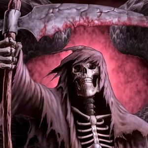 Meet your Posher, Belle